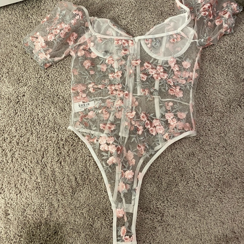 Body - Picture 2 of 2